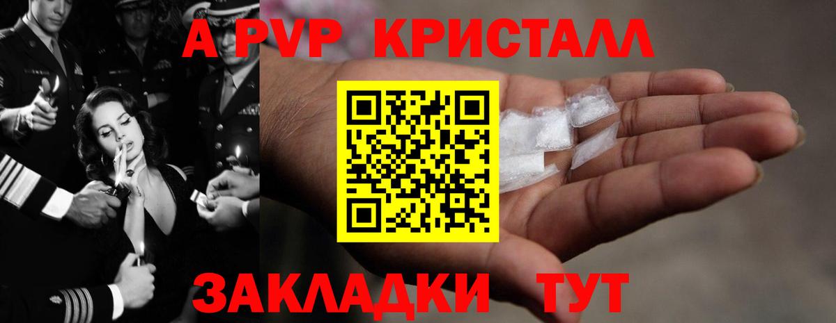 Альфа ПВП СК Сунжа