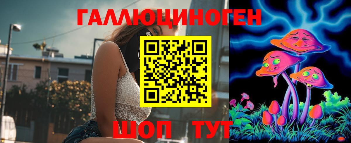 Сунжа  Галлюциногенные грибы мицелий  Вход с VPN 